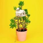 Plant Houses - Miniature Houseplant Treehouses