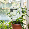 Plant Life Support - H2O IV Drip Bag