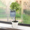 Plant Life Support - H2O IV Drip Bag
