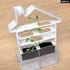 Plant Maze