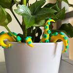 Plant Monsters - Creepy Tentacles For Houseplants