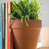 Plant Pot Living Bookends
