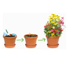 Plantable Wrapping Paper - Biodegradable Seeded Gift Wrap