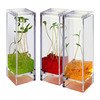 Plantarium - Space-Age Plant Greenhouse