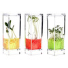 Plantarium - Space-Age Plant Greenhouse