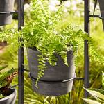 Planter Privacy Screen / Vertical Living Wall