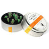 Plants in Cans - Cool Mini Desktop Gardens