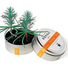 Plants in Cans - Cool Mini Desktop Gardens