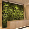 The Plantwall