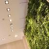 The Plantwall