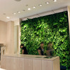 The Plantwall