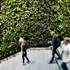 The Plantwall