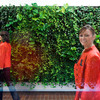 The Plantwall