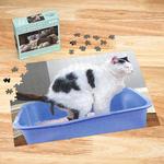 A Playful Pile of Kittens Prank Puzzle