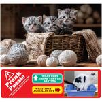 A Playful Pile of Kittens Prank Puzzle