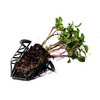 Plug N Gro-Bag - Vertical Grow Bag