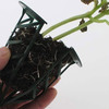 Plug N Gro-Bag - Vertical Grow Bag