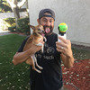Pooch Selfie - Smartphone Squeaker Ball Gets Dog's Attention