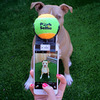 Pooch Selfie - Smartphone Squeaker Ball Gets Dog's Attention