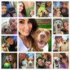 Pooch Selfie - Smartphone Squeaker Ball Gets Dog's Attention