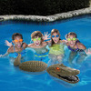 Pool Guarding Gator Decoy
