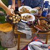 Portable Roll-Up Picnic Table