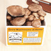 Portobello Mushroom Growing Kit