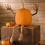Posable Pumpkin Vine Arms and Legs