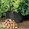 Potato Bin - Grow Your Own Potatoes - No Garden Required!