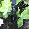 Power Planter - Flower Bulb and Plant Auger Drill Bit