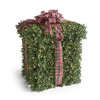 Pre-Lit Boxwood Presents