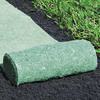 Pre-Seeded Roll Out Sunflower Mat