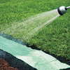 Pre-Seeded Roll Out Sunflower Mat