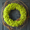 Preserved Reindeer Moss Wreath