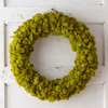 Preserved Reindeer Moss Wreath