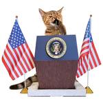 Presidential Podium Cat Scratcher