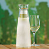 Prodyne Double Wall Iced Carafe