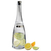 Prodyne Fusion - Flavor Infusing Cocktail Shaker / Carafe