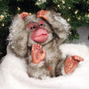 Monkey Alert! Puki the Baby Monkey