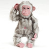 Monkey Alert! Puki the Baby Monkey