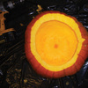 Pumpkin Gutter - Pumpkin Carving Drill Bit