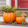 Pumpkin Planters