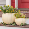 Pumpkin Planters