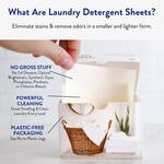 Pumpkin Spice Laundry Detergent Sheets