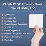 Pumpkin Spice Laundry Detergent Sheets