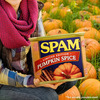 Pumpkin Spice SPAM