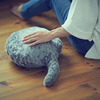 Qoobo - Robotic Wagging Cat Tail Pillow