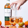 Quick Pour Shot Glass Dispenser / Drink Carrier
