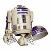 Han Solo Frozen in Carbonite Ice Cube Tray with R2-D2 Ice Bucket