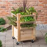 Raised Wooden Garden Bed on Wheels